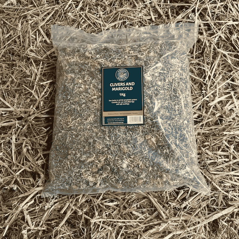 Traditional herbal support for horses