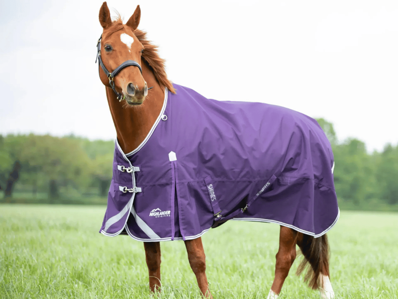 Lightweight turnout rugs for wet days