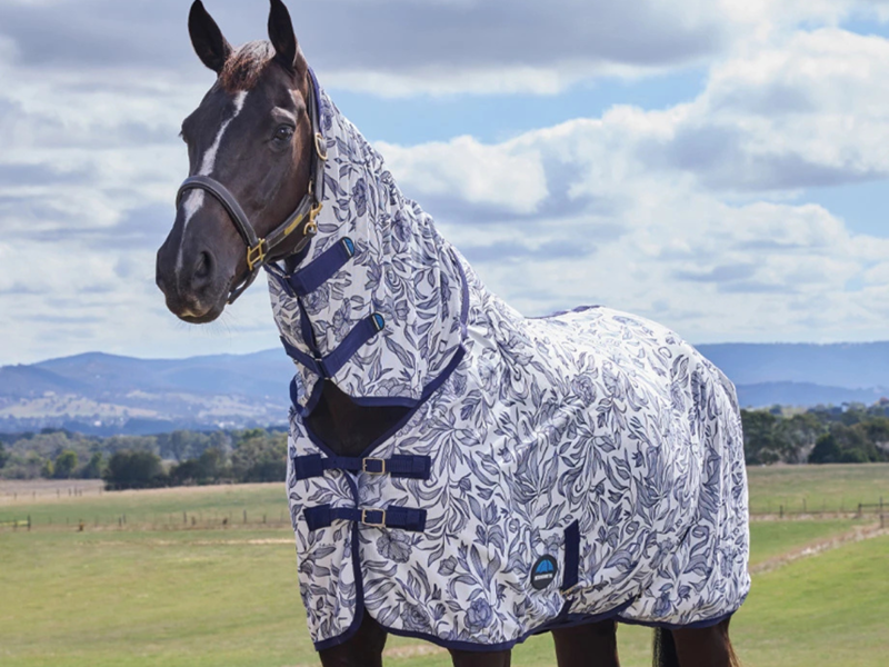 Help protect your horse this summer