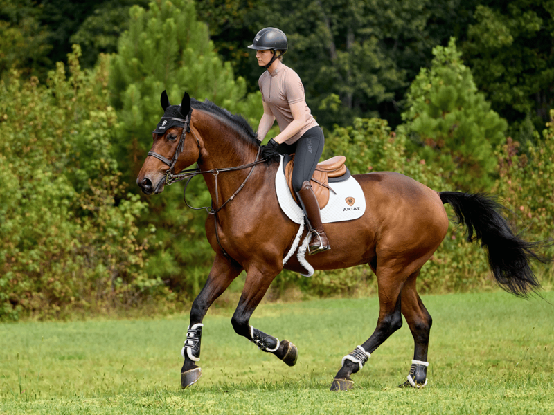 Saddle Up! New Season Is Here