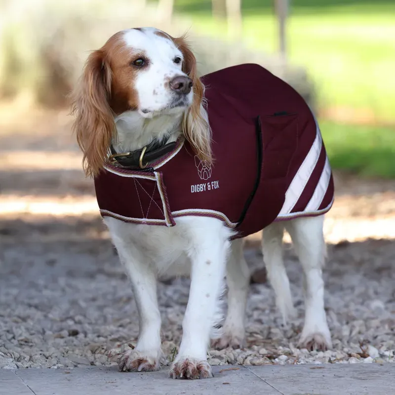 Digby and Fox Waterproof Dog Coat in Maroon