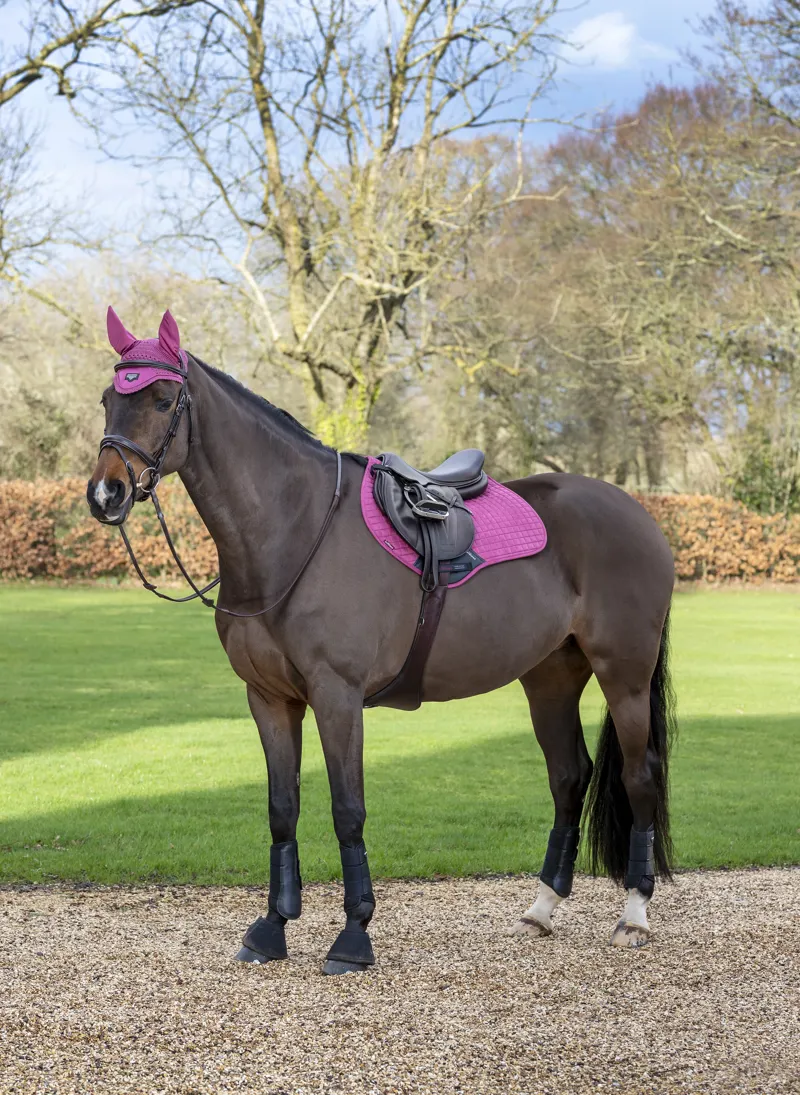 LeMieux Close Contact Suede Saddle Pad in French Rose-1