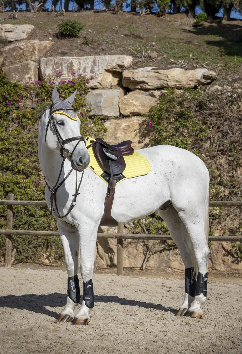 LeMieux Close Contact Suede Saddle Pad in Citron-1