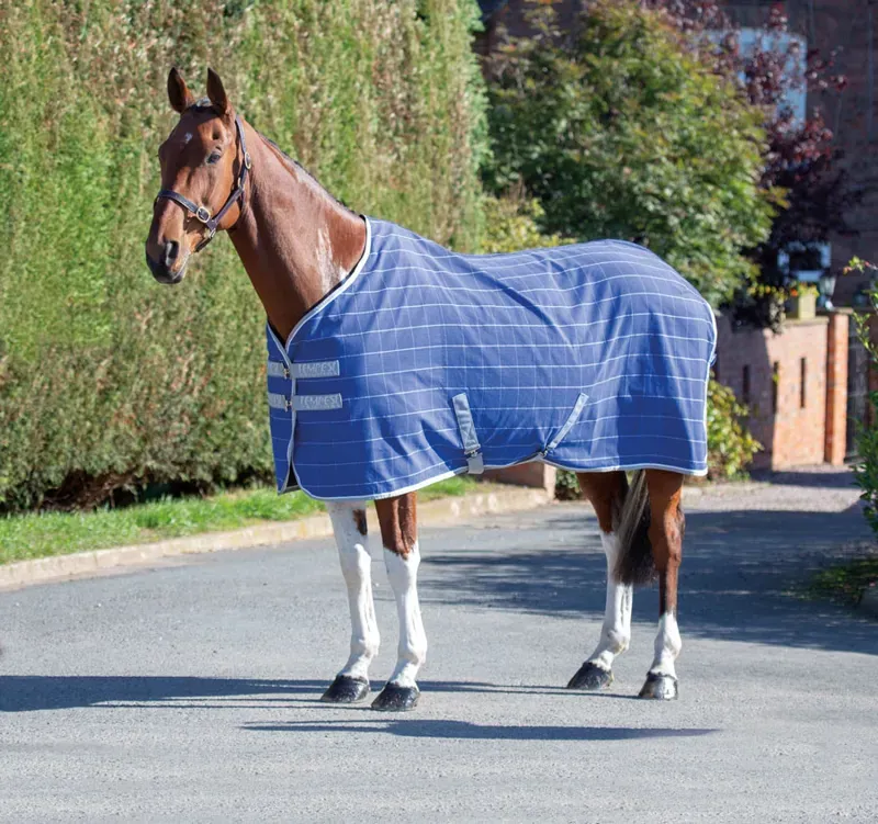 Shires Tempest Original Stable Sheet in Teal Check-3