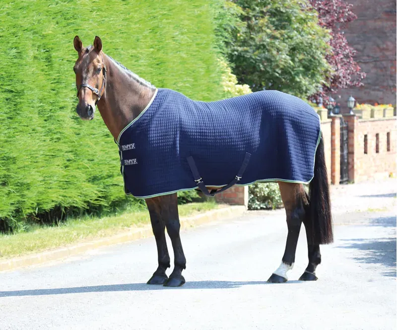Shires Tempest Original Tech Cooler Rug in Ink-4