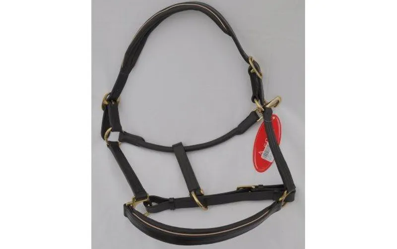 Ascot Piped Head Collar