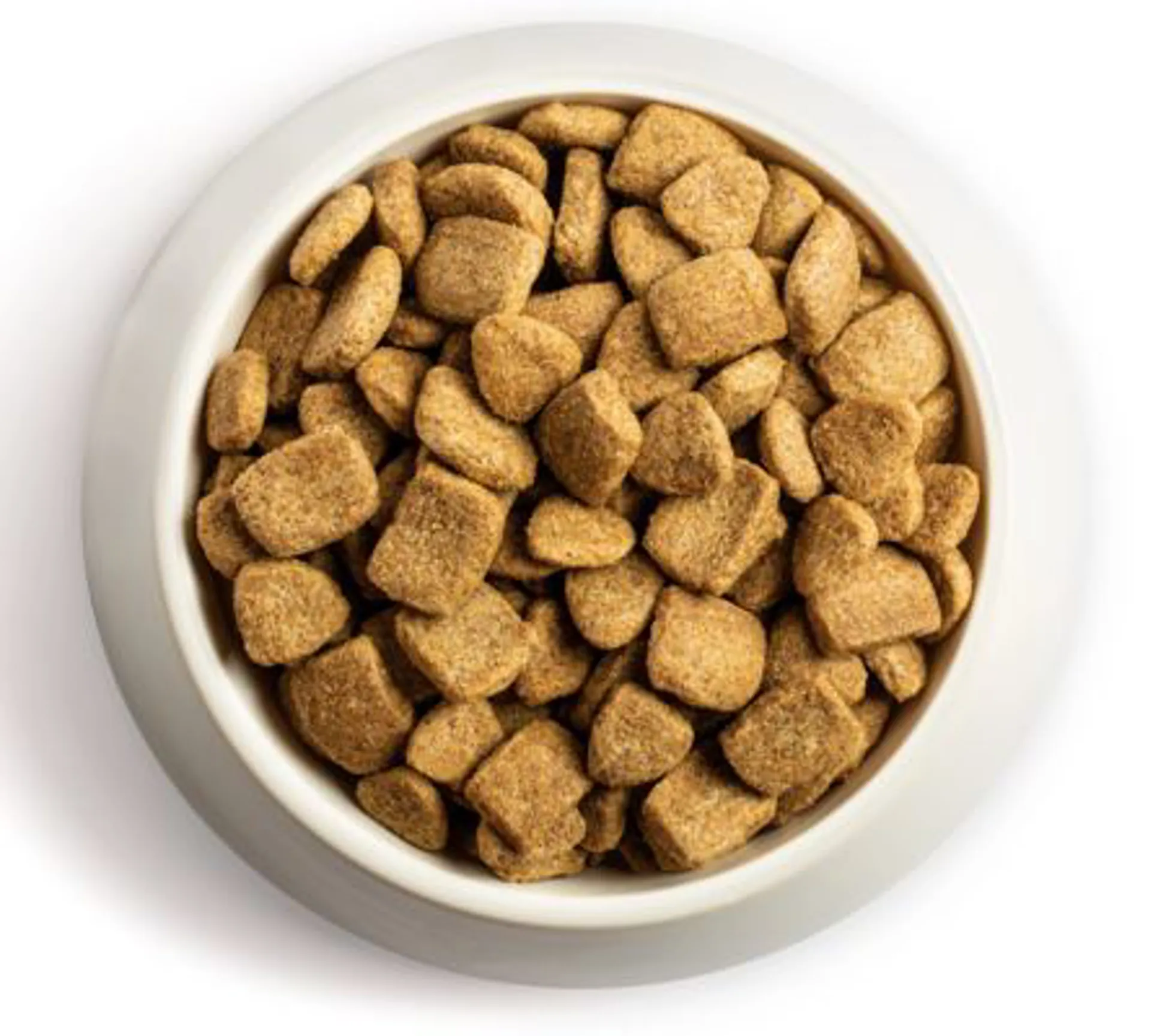 Pet Supplies Chappie 15kg Dog Food Chappie Dry Dog Food With Beef