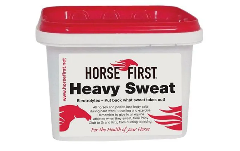 Horse First Heavy Sweat