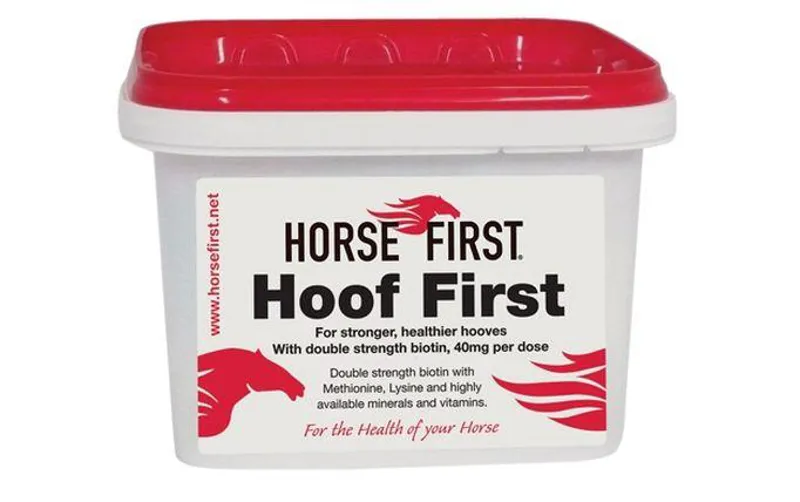 Horse First Hoof First
