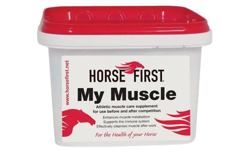 Horse First My Muscle