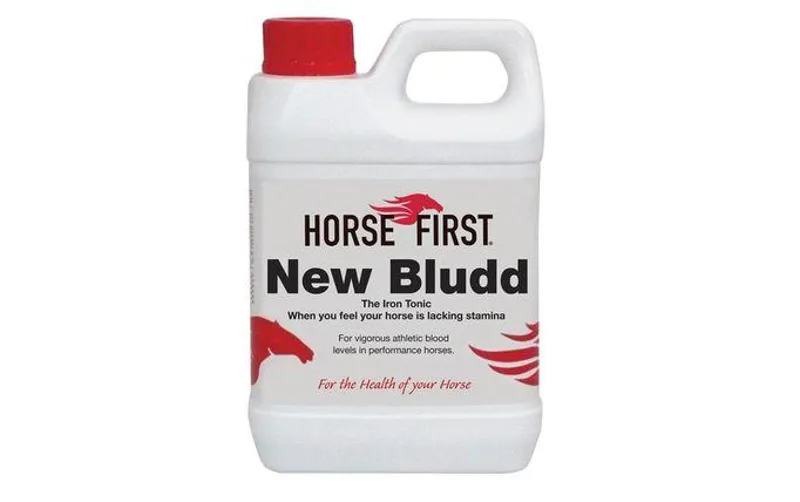 Horse First New Bludd
