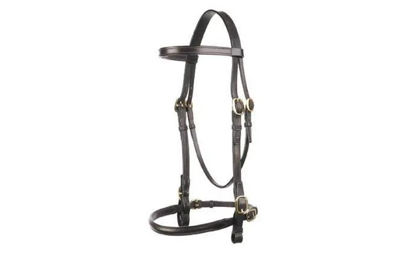 Jeffries In-Hand Show Bridle