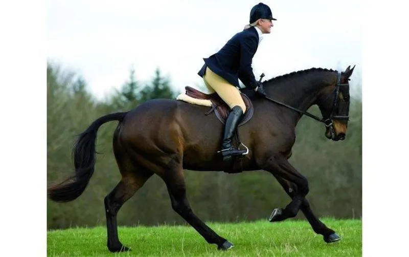Lucinda Green Bramham Breeches
