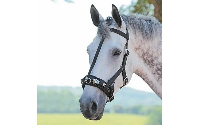 Bridleway Lunge Cavesson