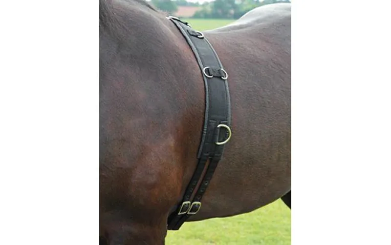 Bridleway Lunge Roller