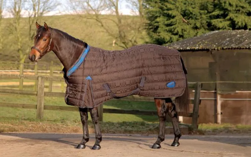 Masta Regal Jacquard Stable Rug