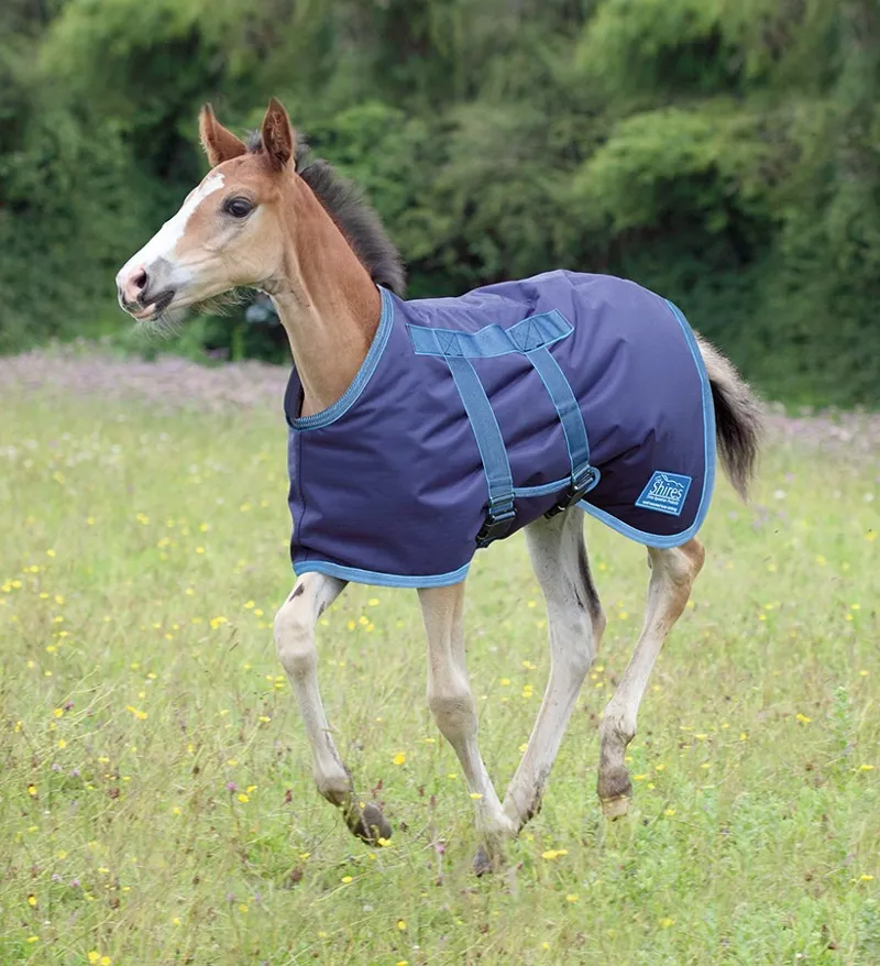 Shires Tempest Original Foal 200g Turnout Rug in Navy