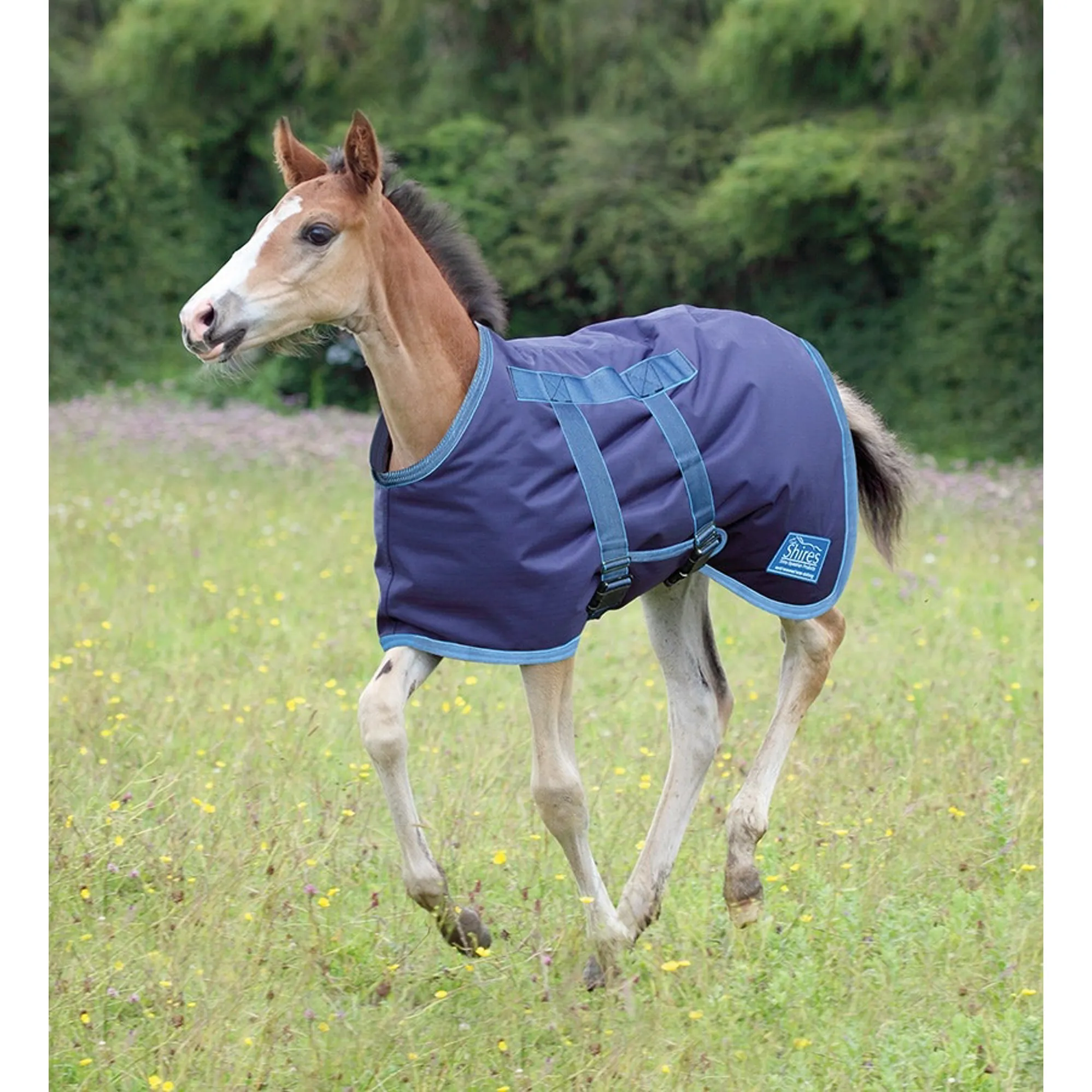 Object Rug Foal Shires Tempest Original Foal 200g Turnout Rug in Navy