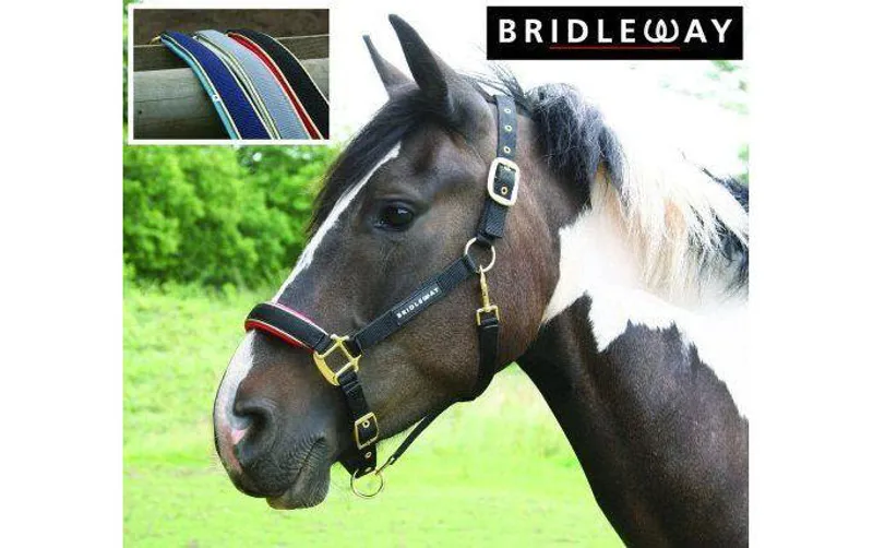 Bridleway Nylon Padded Head Collar