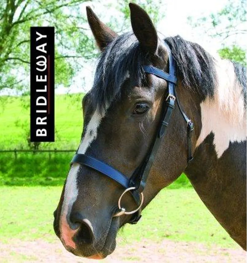 Bridleway Snaffle Bridle