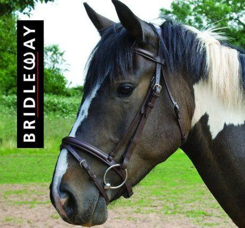 Bridleway Padded Bridle