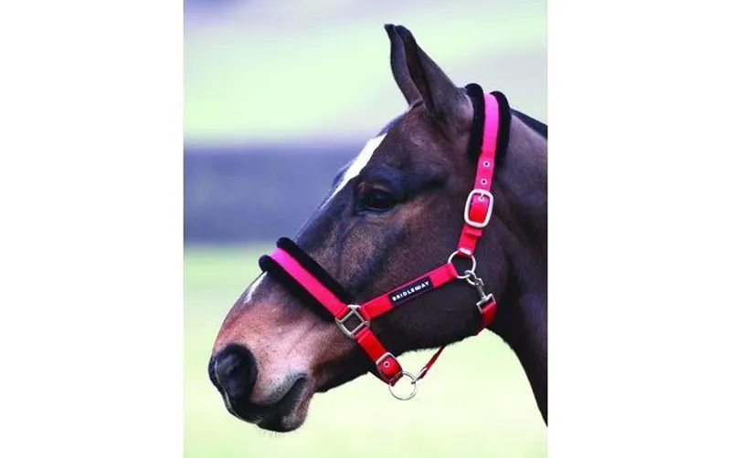 Bridleway Fleece Lined Headcollar
