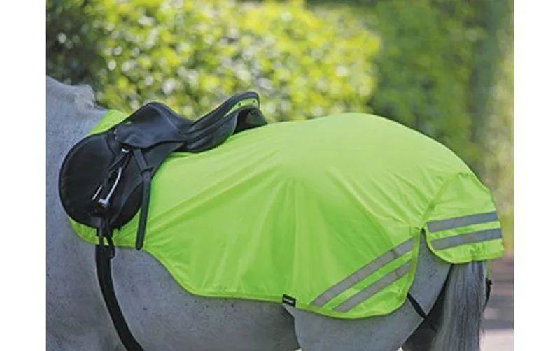 Bridleway Yellow Exercise Sheet