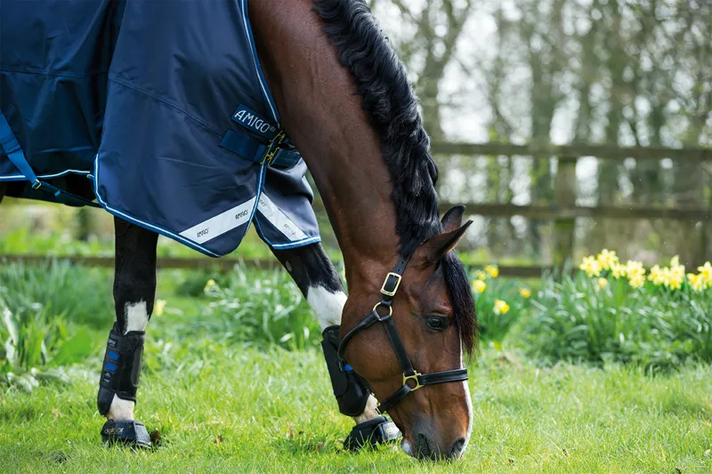 Horseware Amigo Bravo 12 Lightweight 0g Turnout in Navy-1