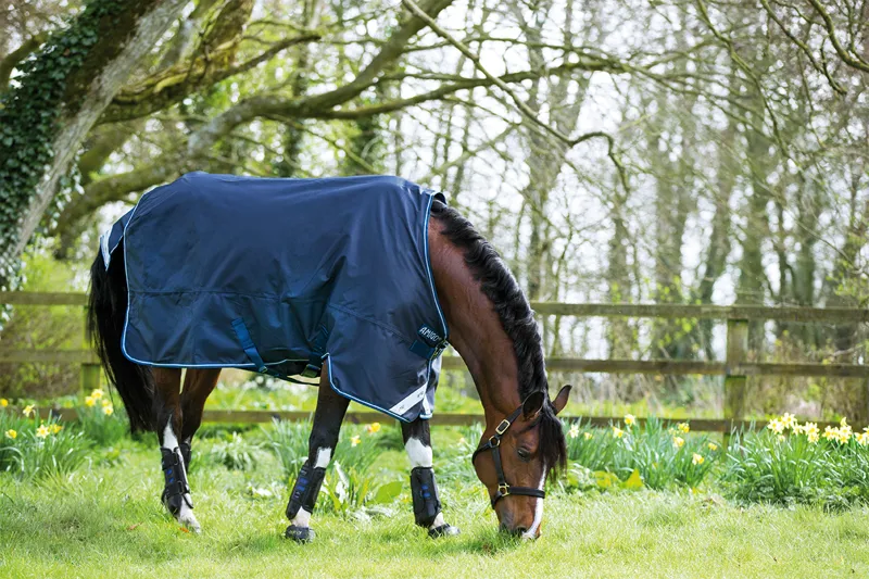 Horseware Amigo Bravo 12 Lightweight 0g Turnout in Navy-2