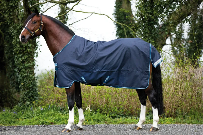 Horseware Amigo Bravo 12 Lightweight 0g Turnout in Navy-3