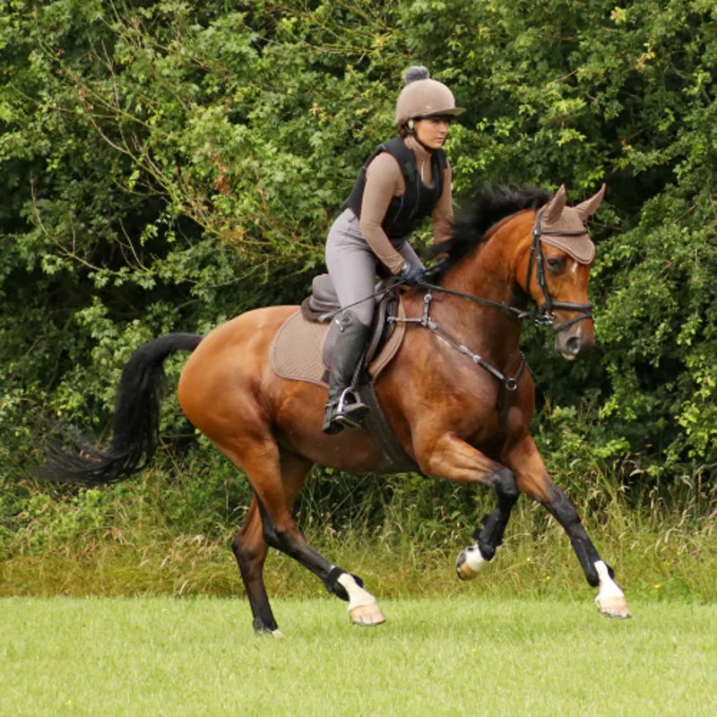 Hy Sport Active CC Saddle Pad in Desert Sand - WEB EXCLUSIVE-1