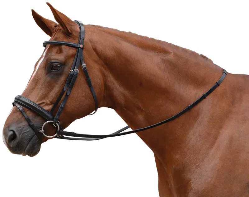 Albion KB Flash Bridle 30mm with Rubber Reins