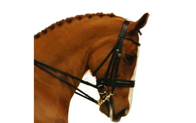 Albion KB Competition Weymouth Bridle