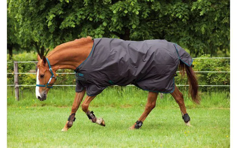 Horseware Amigo 600 Lite Turnout
