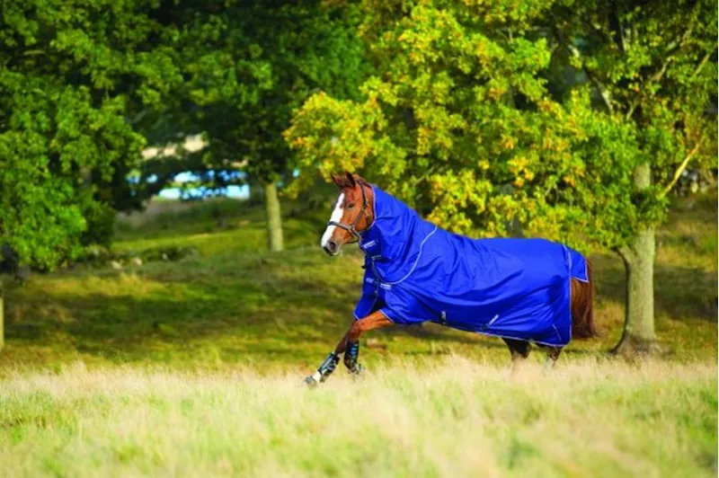 Horseware Amigo Hero Turnout Rug Plus Lite in Blue