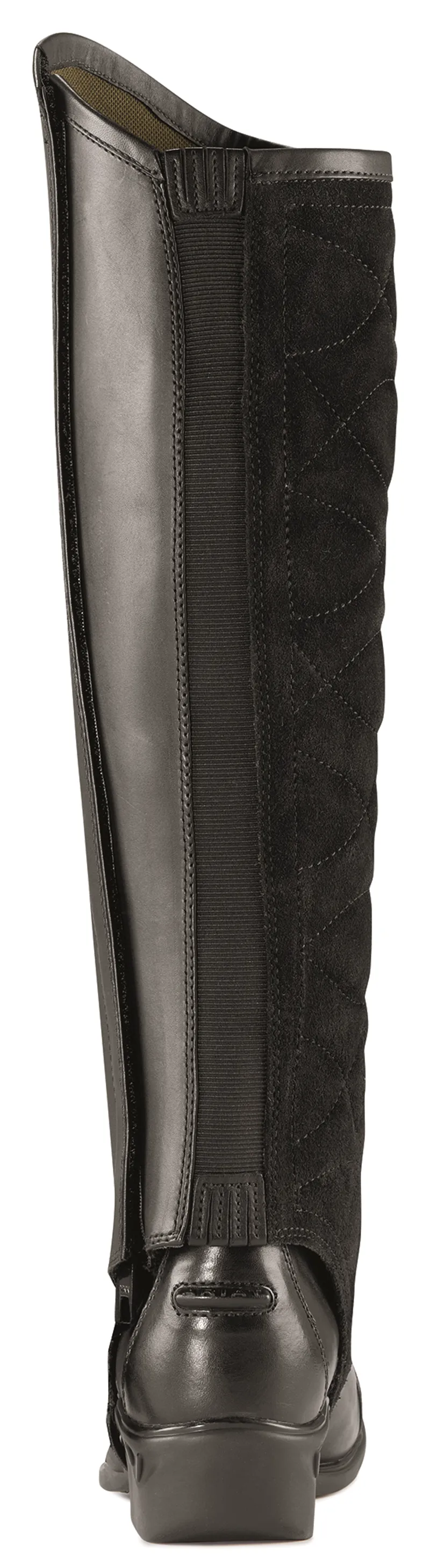 Ariat Classic Half Chap III-2