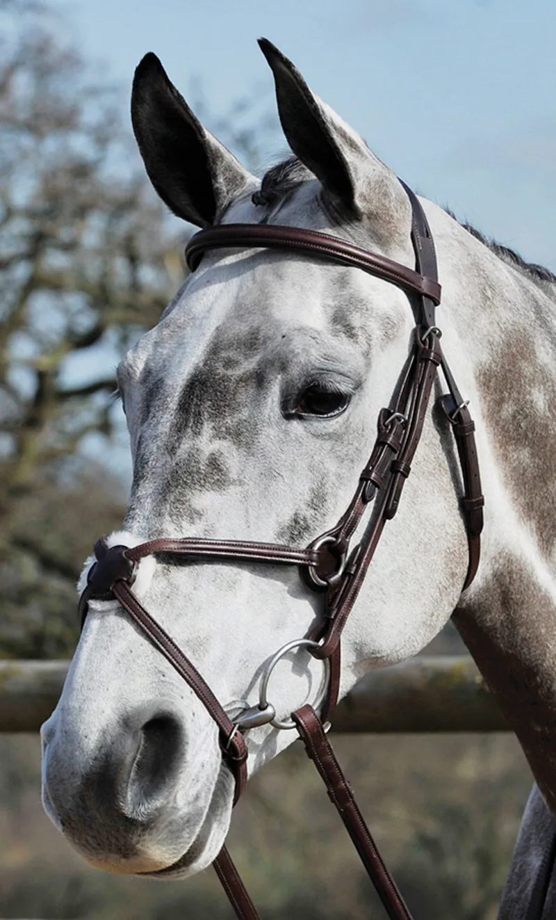 Bridleway Buckingham Grackle Bridle