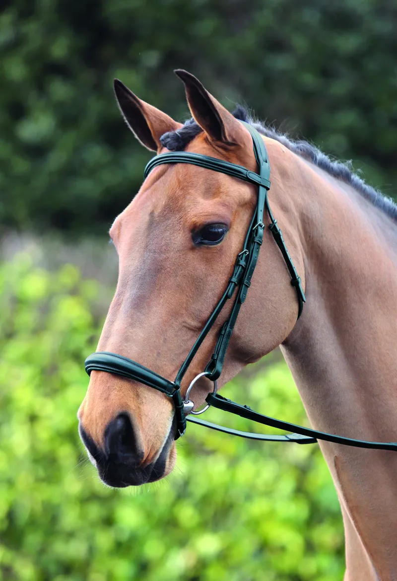 BRIDLEWAY LAVELLO RAISED BROWBAND LEATHER BROW BAND