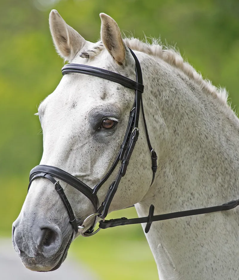 Bridleway Melton Flash Bridle Black