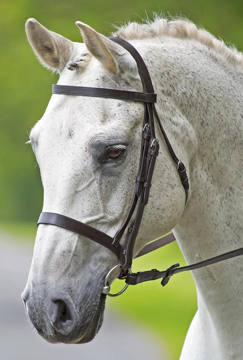 Bridleway Melton Plain Cavesson Bridle Black