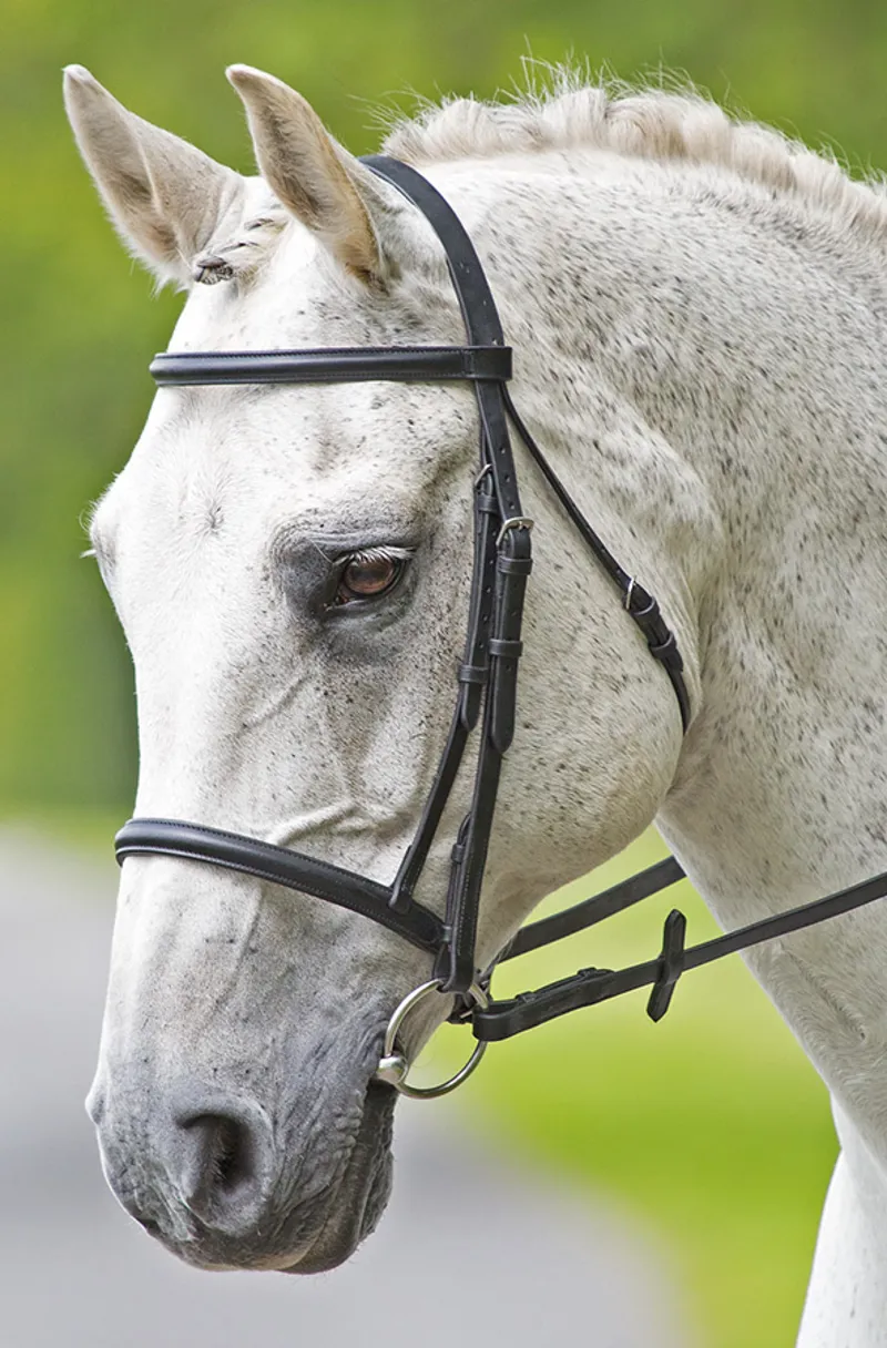 Bridleway Melton Raised Cavesson Bridle Black
