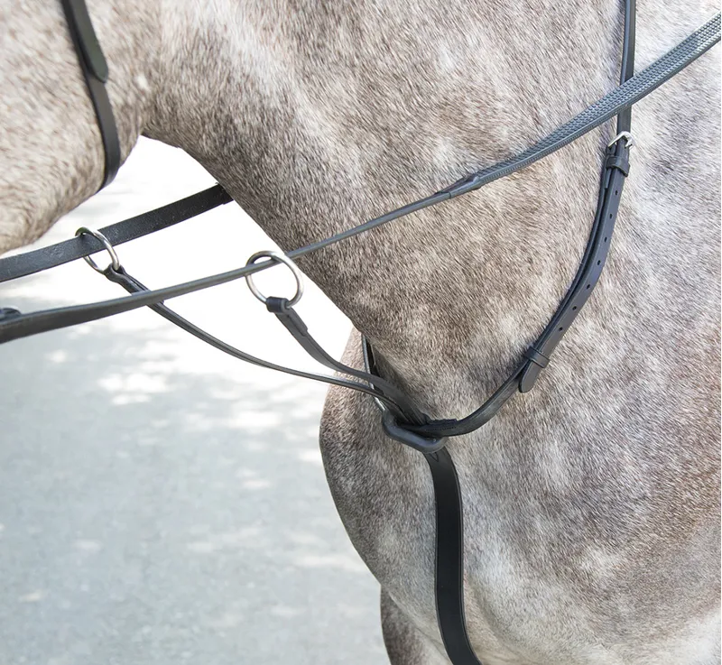 Bridleway Melton Running Martingale in Black