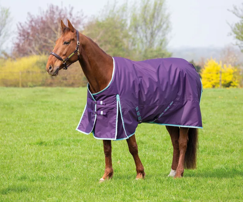 Bridleway Ontario Medium Turnout Rug Standard Neck in Plum