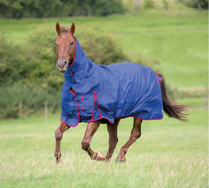 SALE  Bridleway Ontrio Combo Neck Waterproof Turnout Horse Rug 220g Medium 6ft0