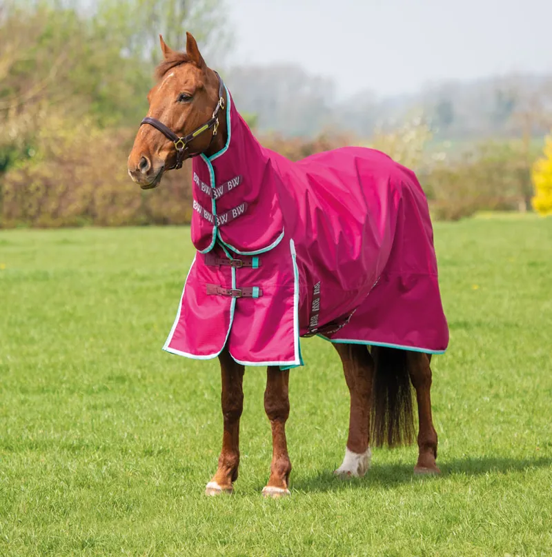 Bridleway Ontario Lightweight Combo Turnout Rug Raspberry