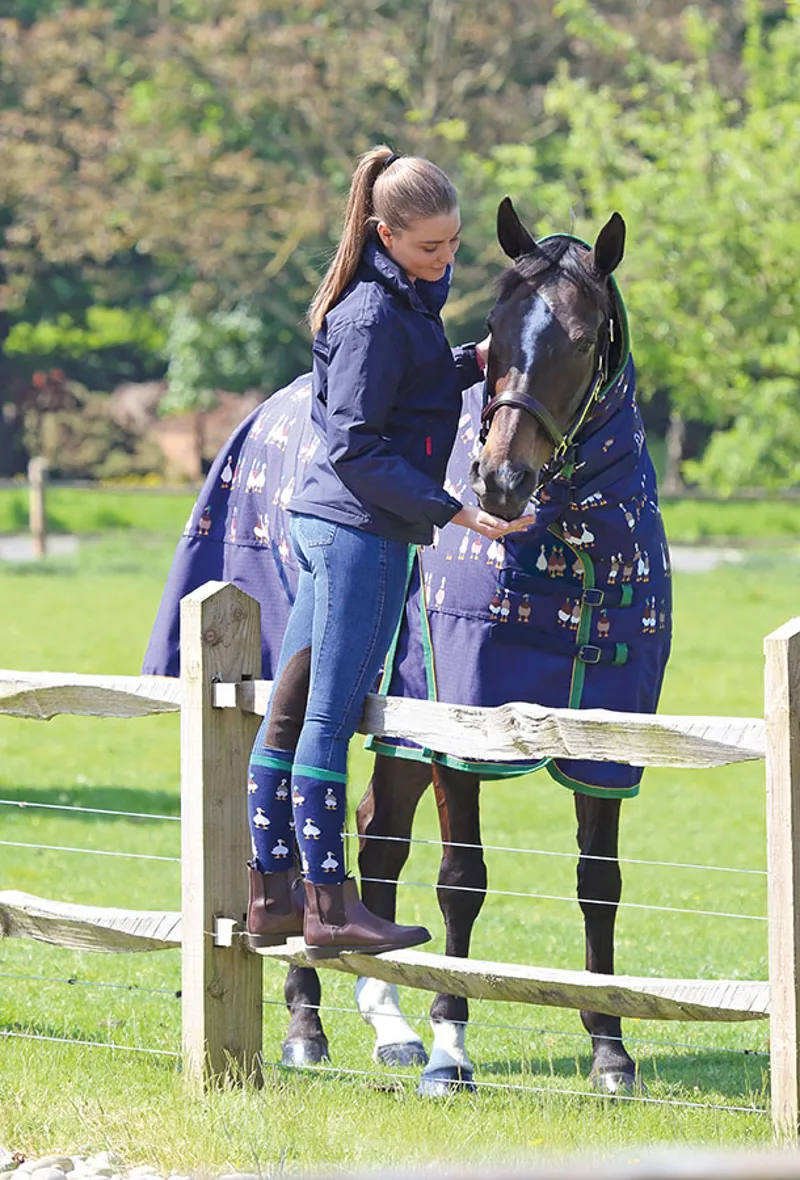 Bridleway Ontario Combo Mediumweight Turnout Rug in Hunter Duck Print