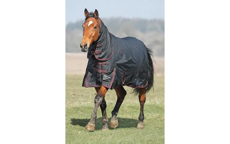 Bridleway Whistler Mediumweight Combo Turnout
