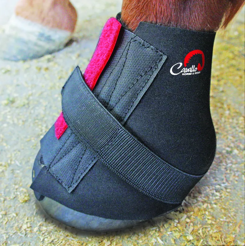 Cavallo Pastern Wrap Neoprene