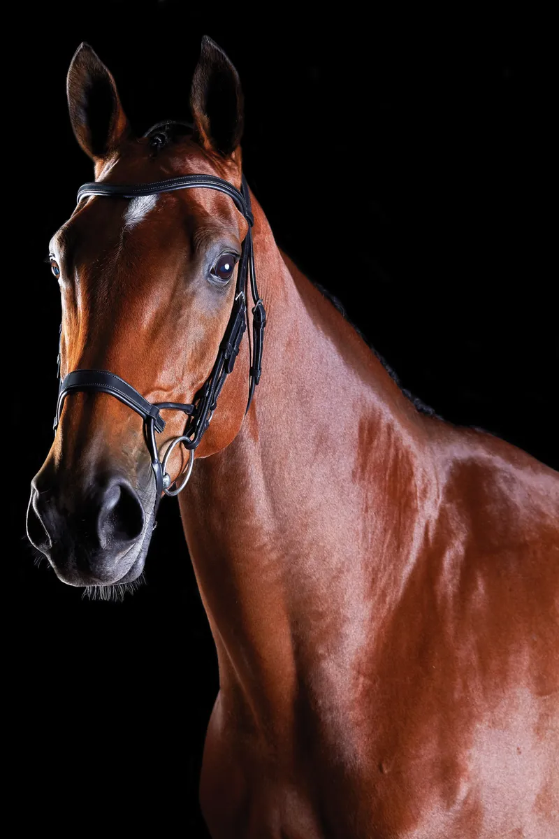 Collegiate ComFiTec Training Bridle in Black
