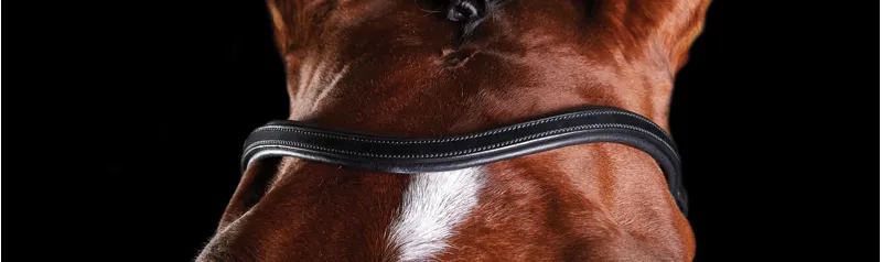 Collegiate ComFiTec Training Bridle in Black-1